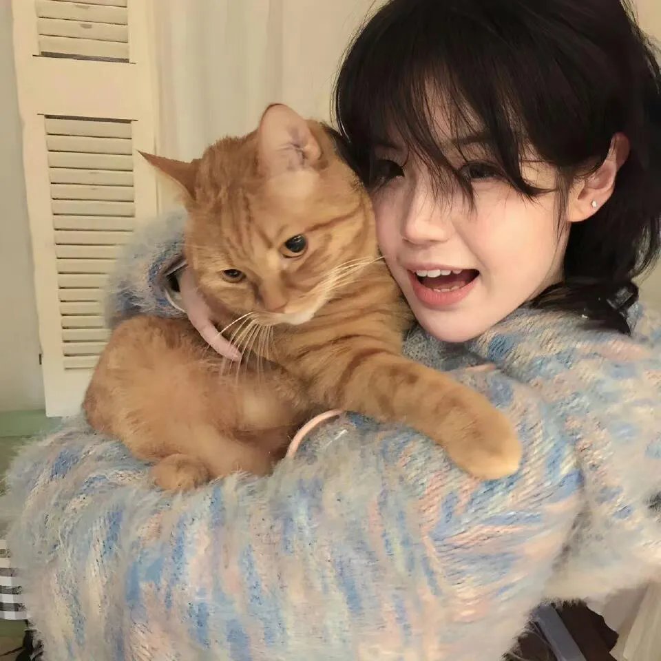 小蝌蚪找妈妈