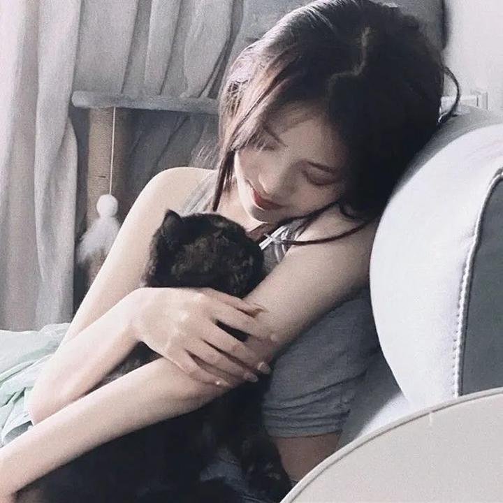 鸡同鸭讲
